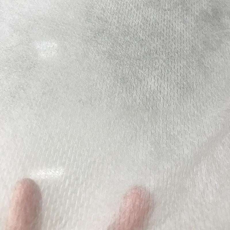 Hydrophilic non-woven fabric